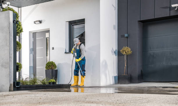 Best Roof Washing  in Bonnetsville, NC